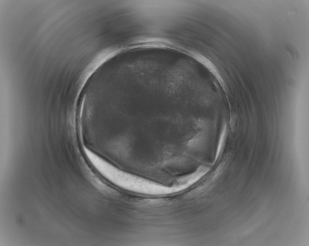 X0000112901482200909111514