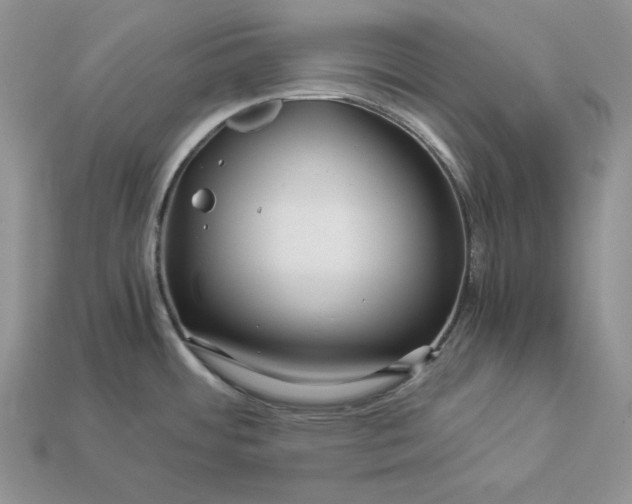 X0000112901484200909111514