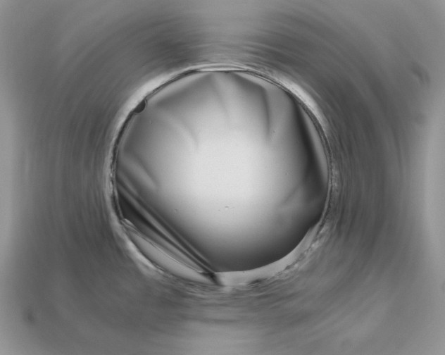 X0000112901485200909111514