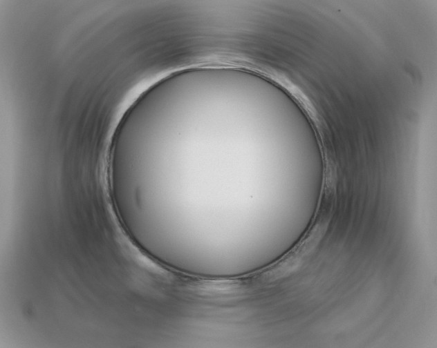X0000112901486200909111514