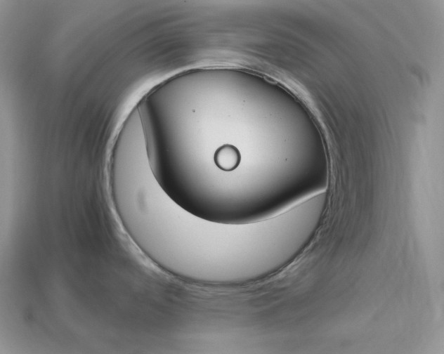 X0000112901488200909111514