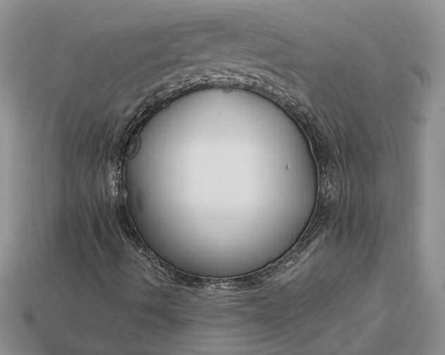 X0000112901490200909111514