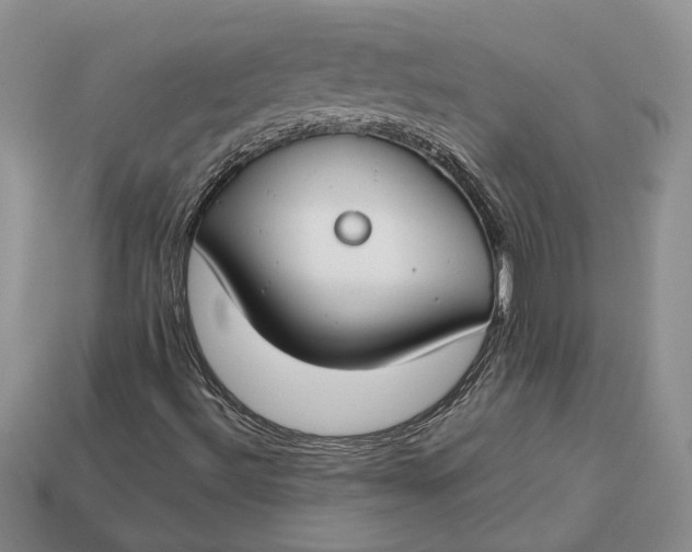 X0000112901492200909111514