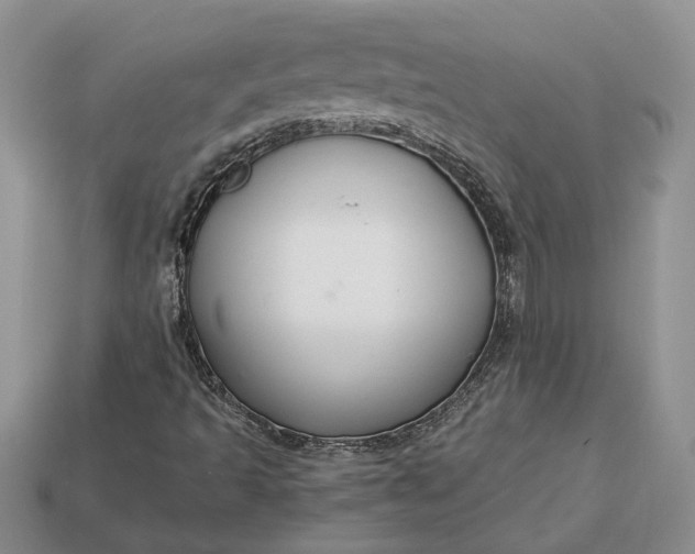 X0000112901493200909111514