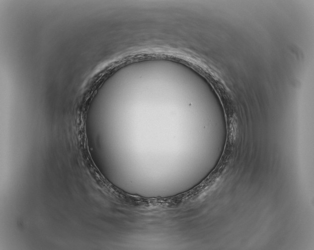 X0000112901494200909111514