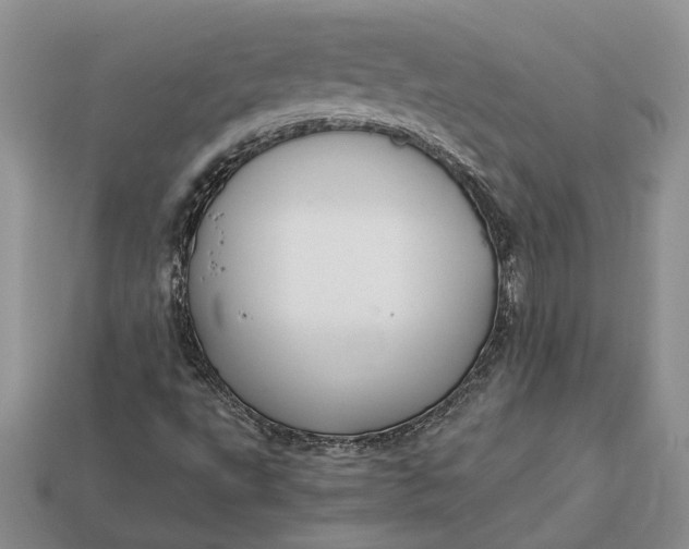 X0000112901495200909111514