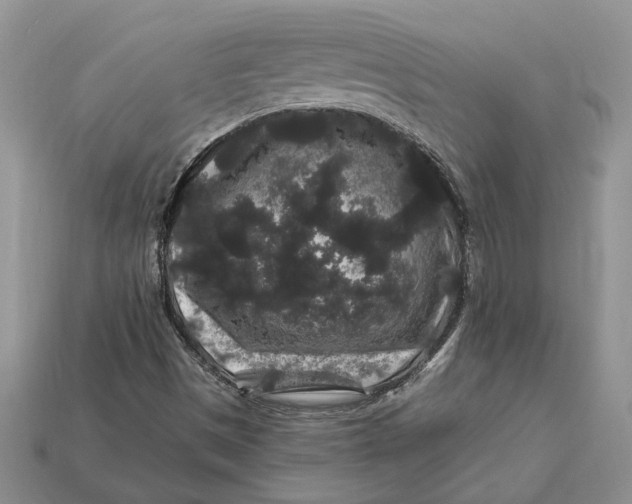 X0000112901497200909111514