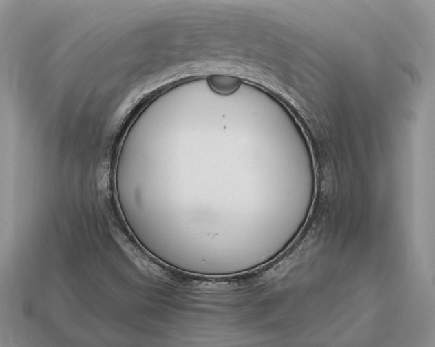 X0000112901499200909111514