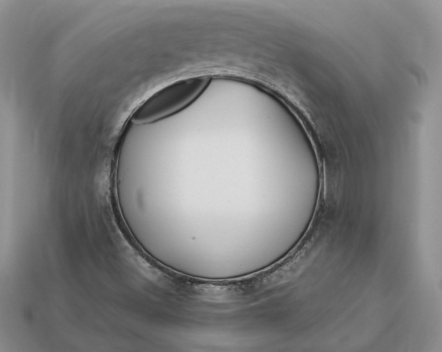 X0000112901500200909111514
