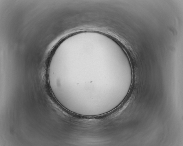 X0000112901502200909111514