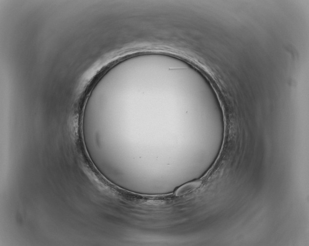X0000112901503200909111514