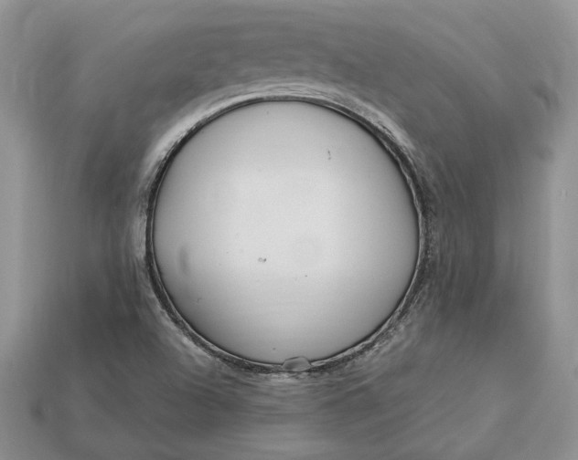 X0000112901504200909111514
