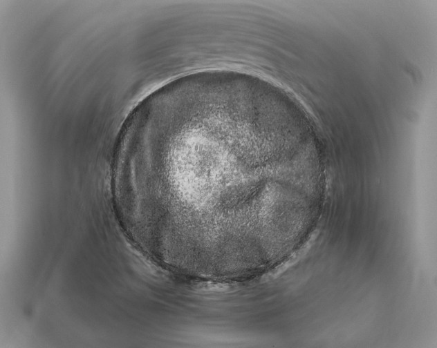 X0000112901505200909111514