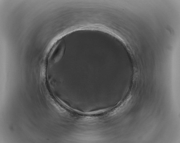 X0000112901506200909111514