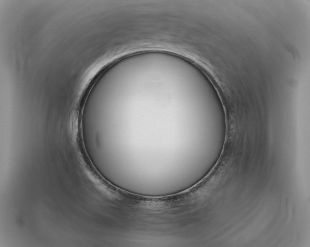 X0000112901511200909111514
