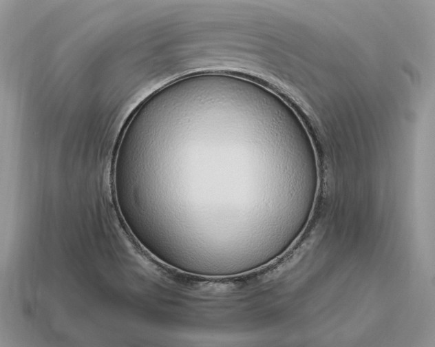 X0000112901513200909111514