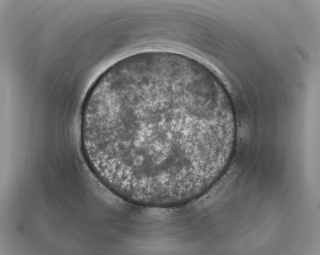 X0000112901514200909111514