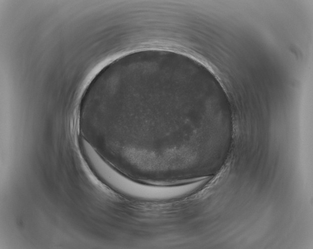 X0000112901515200909111514