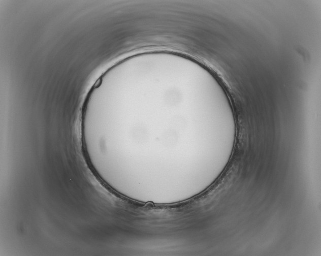 X0000112901516200909111514