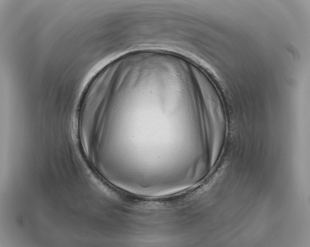 X0000112901517200909111514