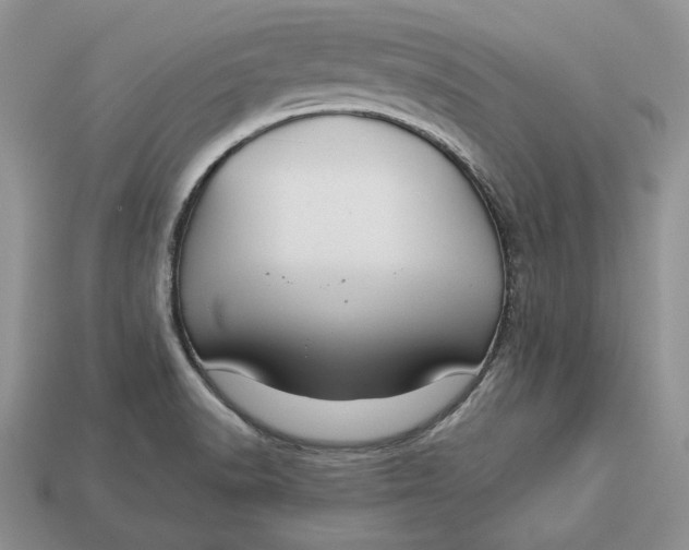 X0000112901518200909111514