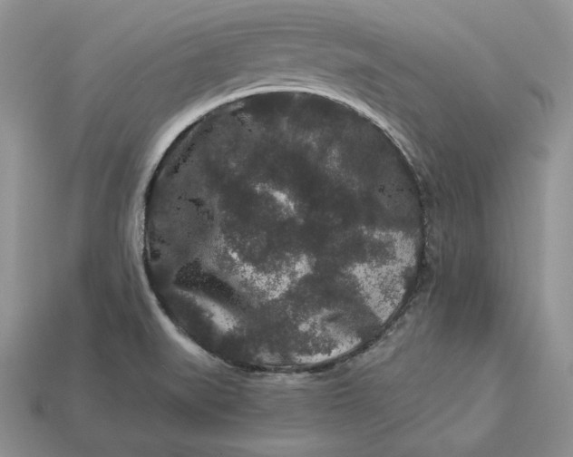 X0000112901519200909111514
