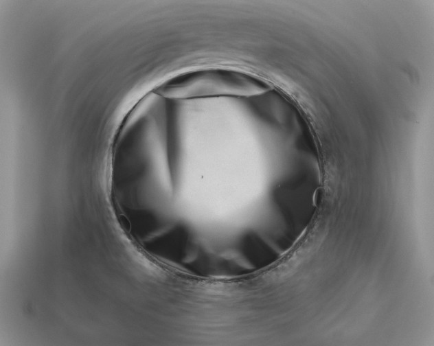X0000112901520200909111514