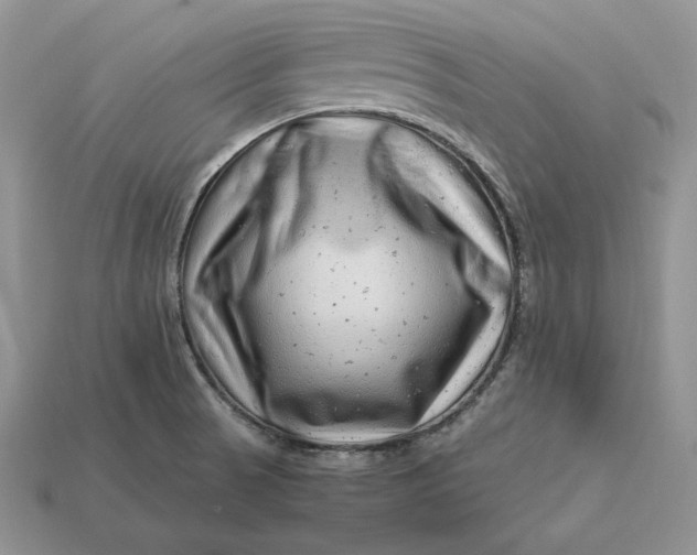 X0000112901521200909111514