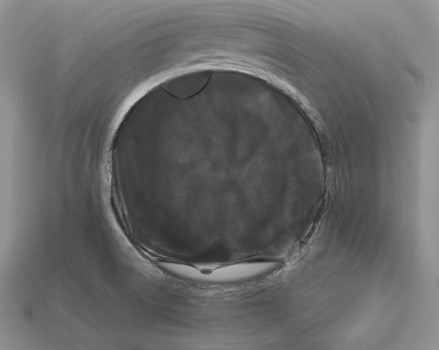 X0000112901522200909111514
