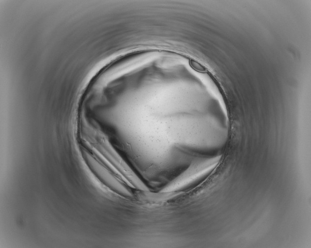 X0000112901523200909111514