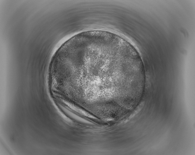 X0000112901525200909111514