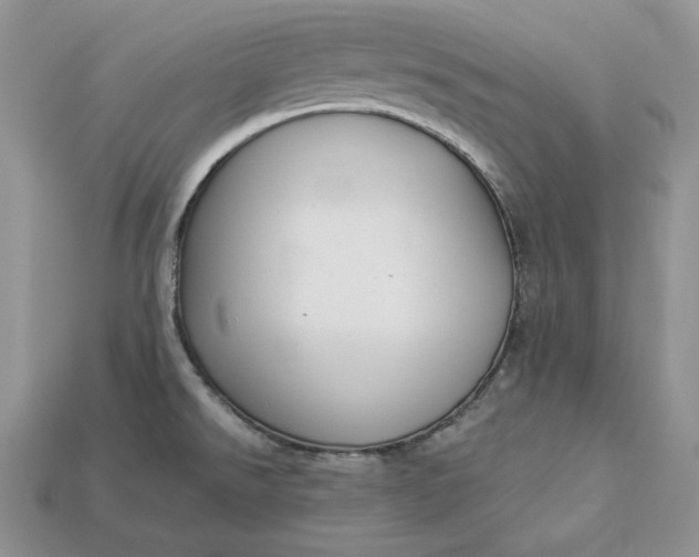 X0000112901526200909111514