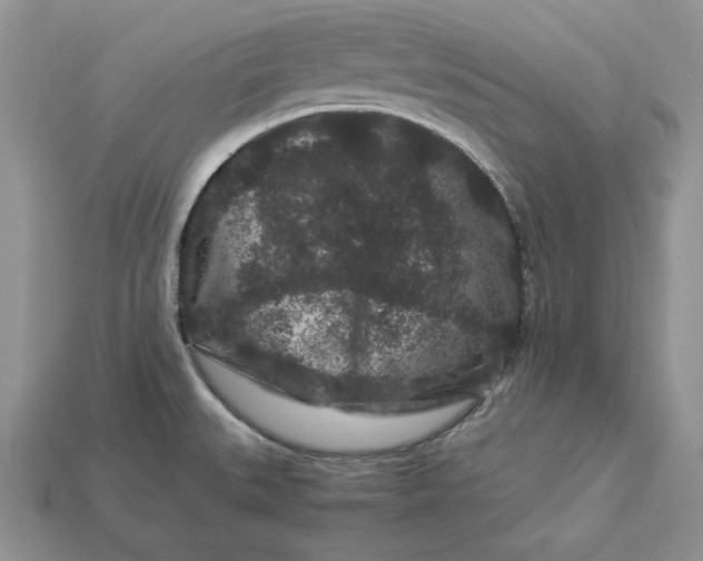 X0000112901527200909111514
