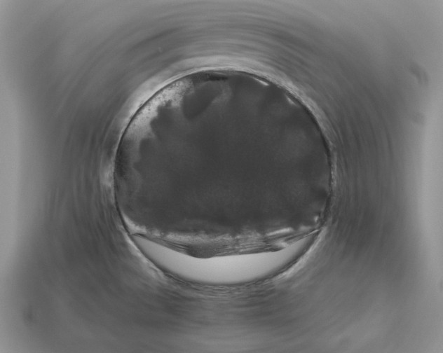 X0000112901529200909111514