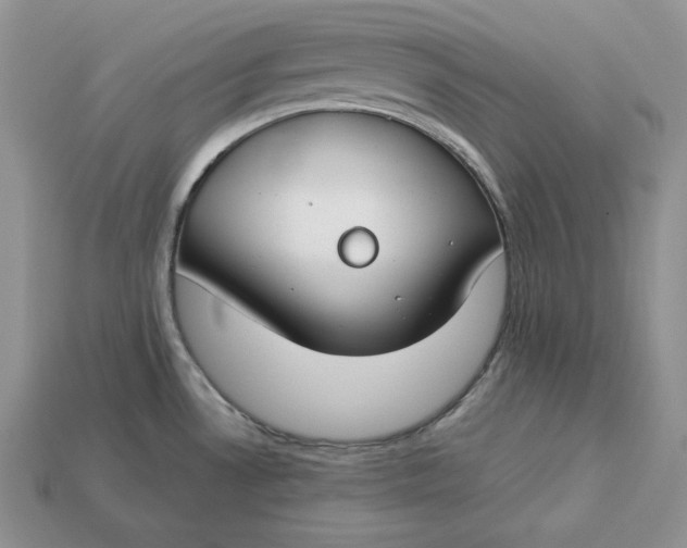 X0000112901530200909111514