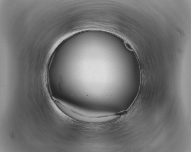 X0000112901531200909111514
