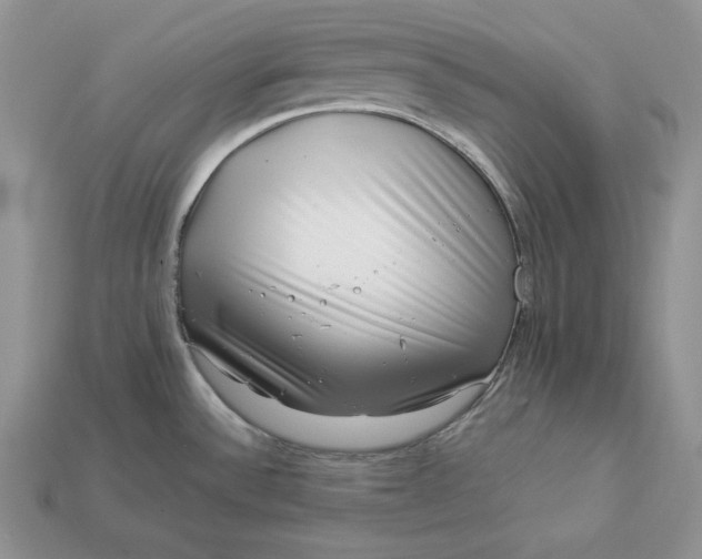 X0000112901532200909111514