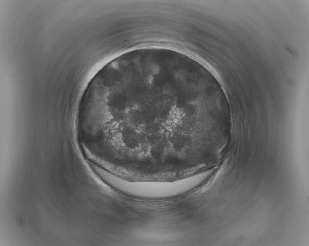 X0000112901533200909111514