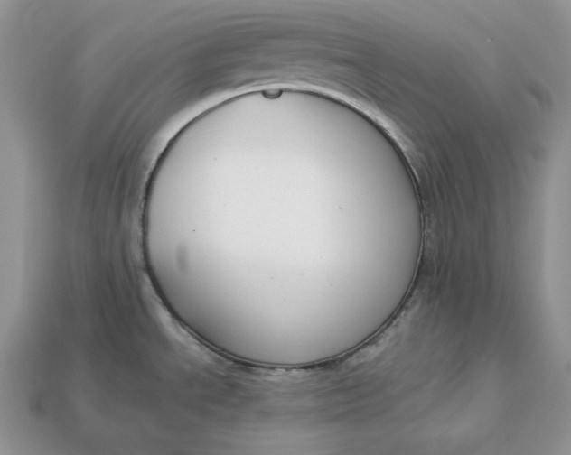 X0000112901534200909111514