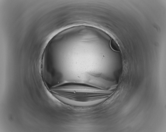 X0000112901535200909111514