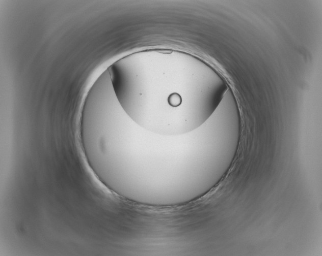 X0000112901536200909111514