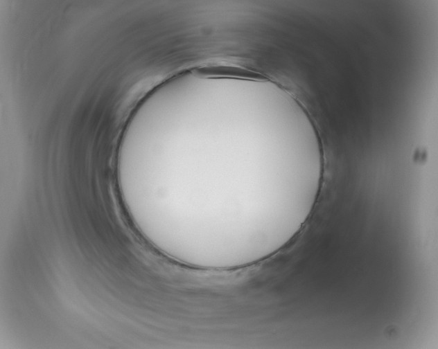 X0000112900001200909181947
