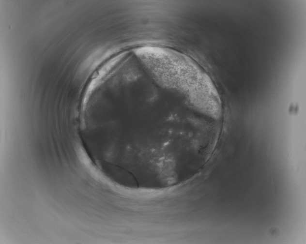 X0000112900002200909181947