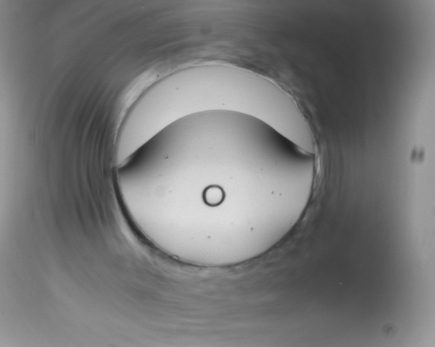 X0000112900003200909181947