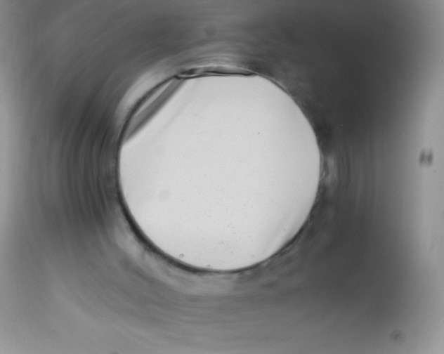 X0000112900004200909181947