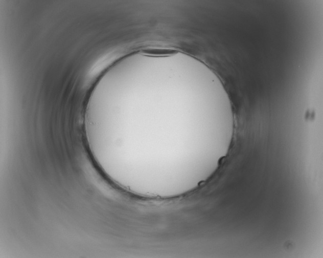 X0000112900005200909181947