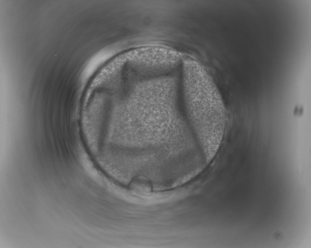 X0000112900006200909181947