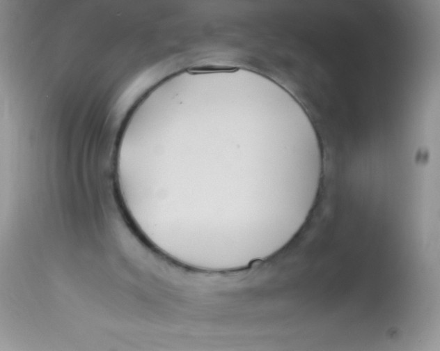 X0000112900007200909181947