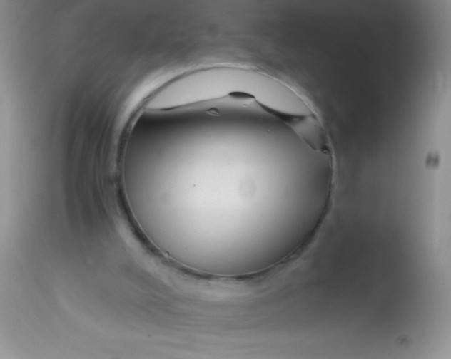 X0000112900008200909181947