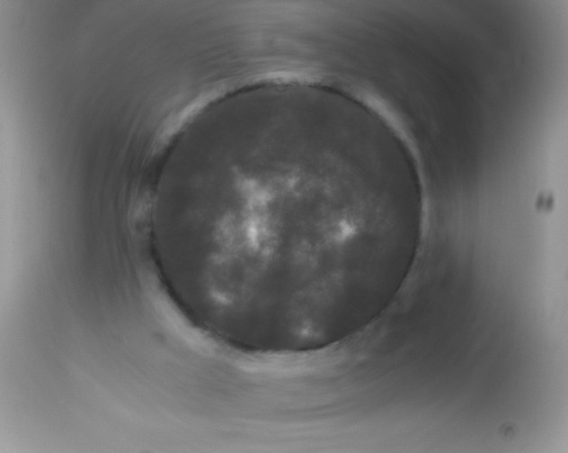 X0000112900009200909181947